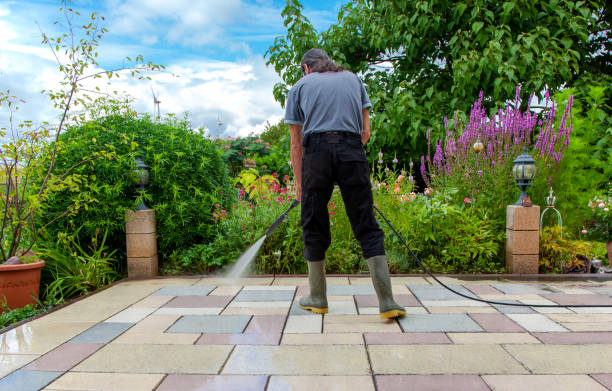 Soft Washing for Delicate Surfaces